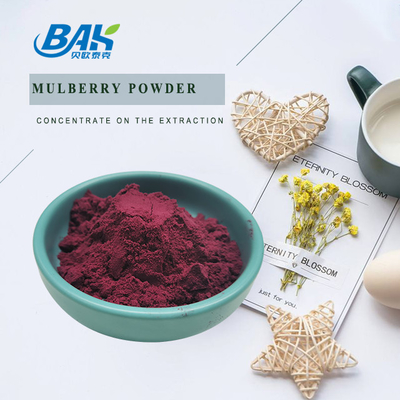 Morus Alba L Mulberry Fruit Polvo morado En lugar fresco y seco Almacenamiento