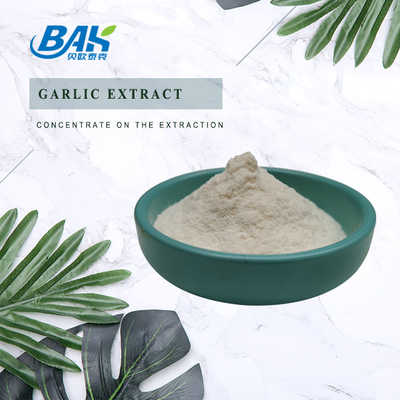 Extracto de ajo de alta calidad 1% 2% 3% allicina en polvo en stock Extracto de ajo con muestras gratuitas para la venta