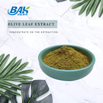 Suplementos de aumento inmunes Ole Olive Leaf Extract de las bacterias antis