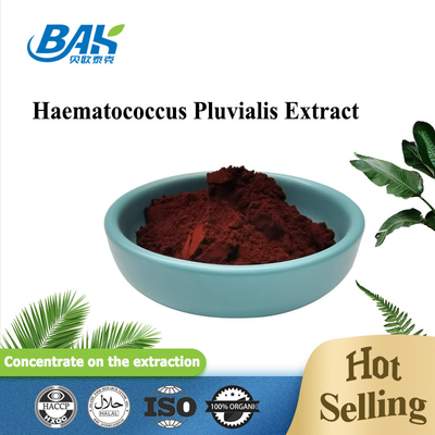 Antioxidante Haematococcus Pluvialis Polvo de astaxantina natural pura y en polvo