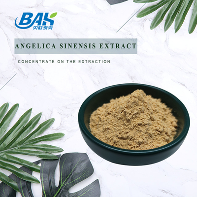 Fábrica profesional china Dang Gui Angelica Sinensis Dong Quai Extracto de raíz en polvo Angelica Dahurica Extracto