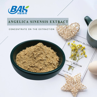Fábrica profesional china Dang Gui Angelica Sinensis Dong Quai Extracto de raíz en polvo Angelica Dahurica Extracto