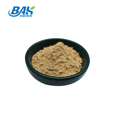 Fábrica profesional china Dang Gui Angelica Sinensis Dong Quai Extracto de raíz en polvo Angelica Dahurica Extracto