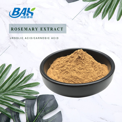 CLAR Rosemary Leaf Extract Rosmarinic Acid el 98%