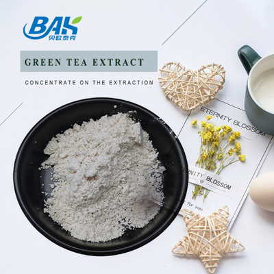 Extracto de té verde en granel EGCG CAS NO 989-51-5 Epigalocatequina galato 98% Polvo blanco