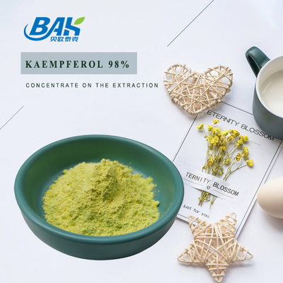BAK Suplementos de alta calidad Cas 520-18-3 para mejorar la inmunidad Kaempferol en polvo 50% 90% 98%