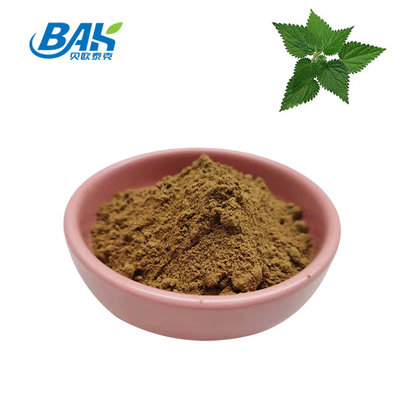 extracto de hojas de ortiga de alta calidad 1,2% de sílice orgánico extracto de raíz de ortiga de grado alimenticio en polvo