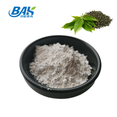 extracto herbario natural de la teanina el 98% del polvo del extracto del té verde 3081-61-6 para la dieta sana