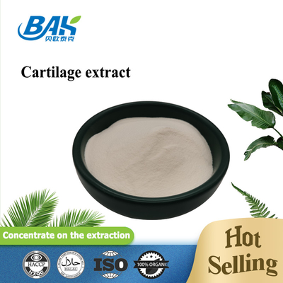 Polvo de proteína péptida 25% Extracto de cartílago Polvo de colágeno tipo II Calidad cosmética