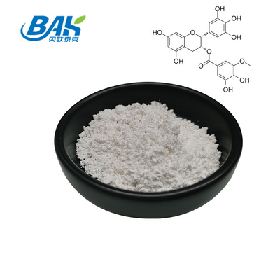 Extracto de té verde en granel EGCG CAS NO 989-51-5 Epigalocatequina galato 98% Polvo blanco