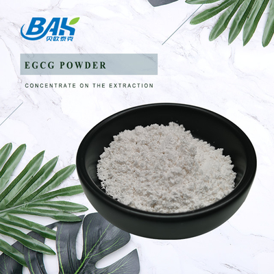 Extracto de té verde en granel EGCG CAS NO 989-51-5 Epigalocatequina galato 98% Polvo blanco