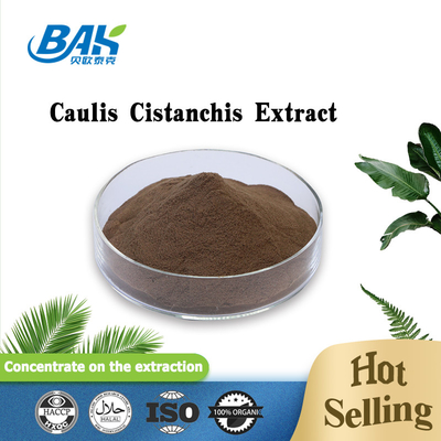 Extracto vegetal de Caulis cistanchis de grado alimentario en polvo