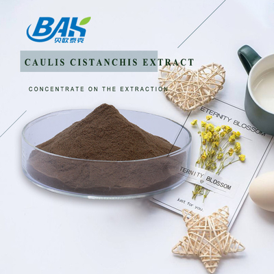 Extracto vegetal de Caulis cistanchis de grado alimentario en polvo