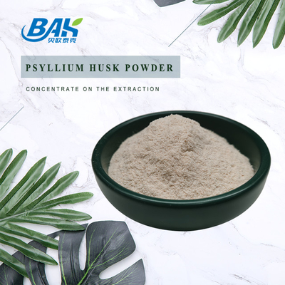 95% - 98% Polvo de cáscara de semilla de psyllium Polvo de cáscara de psyllium de fibra dietética a granel