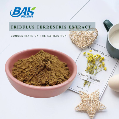 Tribulus Terrestris L polvo fino amarillo 40%-98% de Brown del suplemento para hombre de la salud