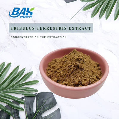 Tribulus Terrestris L polvo fino amarillo 40%-98% de Brown del suplemento para hombre de la salud