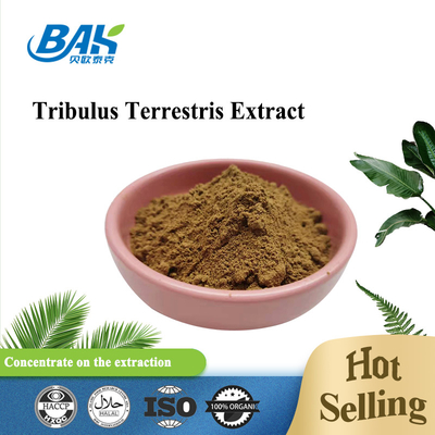 Tribulus Terrestris L polvo fino amarillo 40%-98% de Brown del suplemento para hombre de la salud