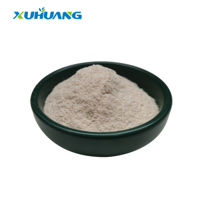 95% - 98% Polvo de cáscara de semilla de psyllium Polvo de cáscara de psyllium de fibra dietética a granel