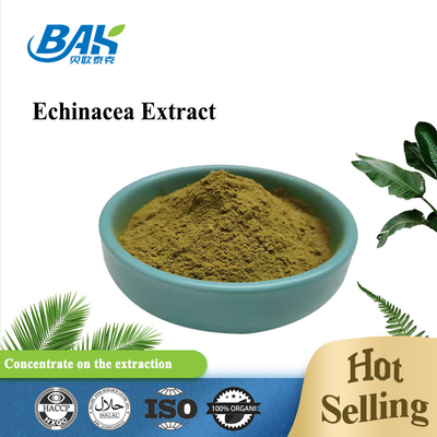 El extracto del Echinacea de Herb Extract Nutrient Supplement Powder pulveriza el 1% - el 4%
