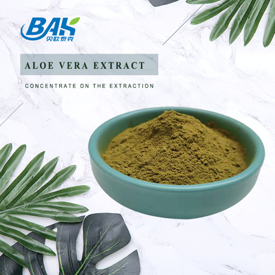 El extracto del Echinacea de Herb Extract Nutrient Supplement Powder pulveriza el 1% - el 4%
