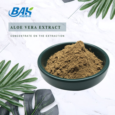 BAK High Quality Pass 80 Mesh Artemisia Argyi Extracto de hoja marrón oscuro en polvo anti cruento