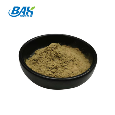 Fabrica al por mayor Extracto de menta pura Suplementos para mejorar la inmunidad Mentha Haplocalyx Briq Brown Powde