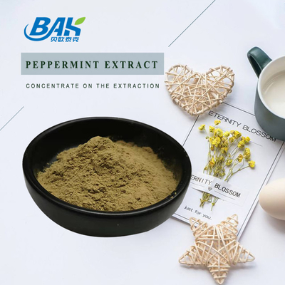 Fabrica al por mayor Extracto de menta pura Suplementos para mejorar la inmunidad Mentha Haplocalyx Briq Brown Powde