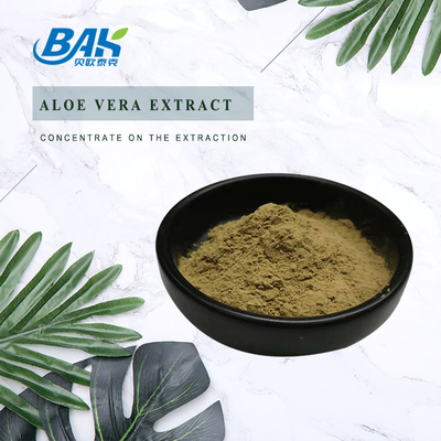 Fabrica al por mayor Extracto de menta pura Suplementos para mejorar la inmunidad Mentha Haplocalyx Briq Brown Powde