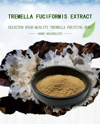 Suplemento del extracto de la seta del Tremella