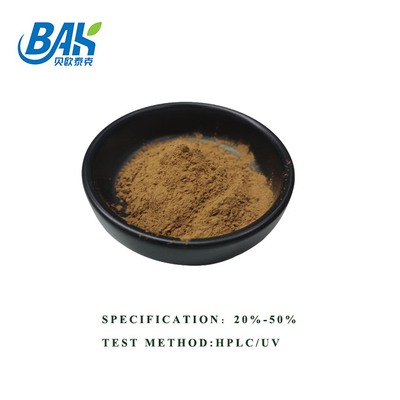 Venta caliente HPLC UV Bacopa Monnieri extracto de polvo amarillo marrón 100% Pasado 80 malla