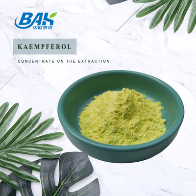 BAK Suplementos de alta calidad Cas 520-18-3 para mejorar la inmunidad Kaempferol en polvo 50% 90% 98%