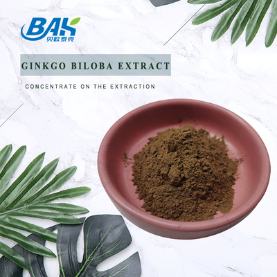 El Ginkgo Biloba de las lactonas el 6% de la flavona el 24% extrae el polvo de Brown amarillo
