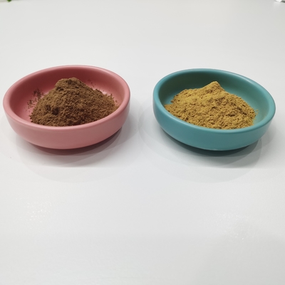 El Ginkgo Biloba de las lactonas el 6% de la flavona el 24% extrae el polvo de Brown amarillo