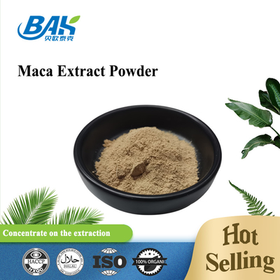 BAK Extracto de Maca orgánico puro en polvo Suplemento de salud masculino