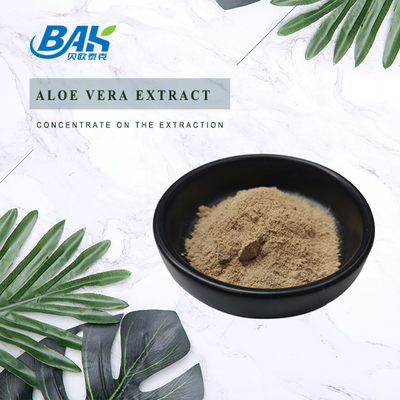 BAK Extracto de Maca orgánico puro en polvo Suplemento de salud masculino