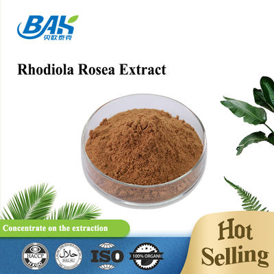 Suplemento de salud para hombre orgánico Rosavin 1% -10% Rhodiola Rosea L Extracto de polvo marrón rojizo