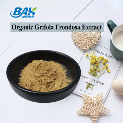 Extracto de Grifola Frondosa orgánico Beta glucano 70% extracto de hongo Suplemento de VIS UV en polvo