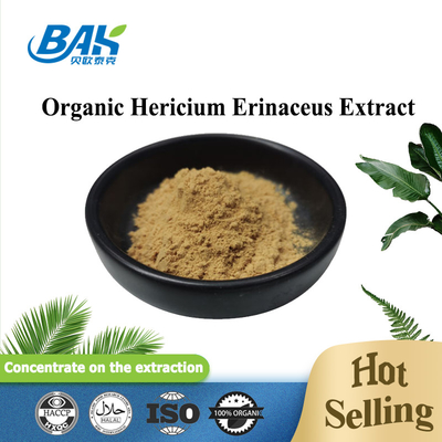 VIS Hericium Erinaceus Mushroom Extract ULTRAVIOLETA