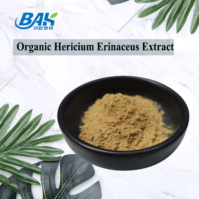VIS Hericium Erinaceus Mushroom Extract ULTRAVIOLETA