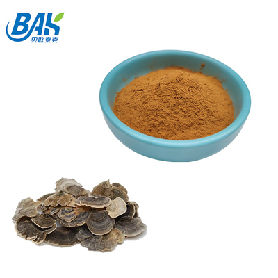 10%-50% polvo amarillo de Brown de la seta de Coriolous del suplemento versicolor del extracto
