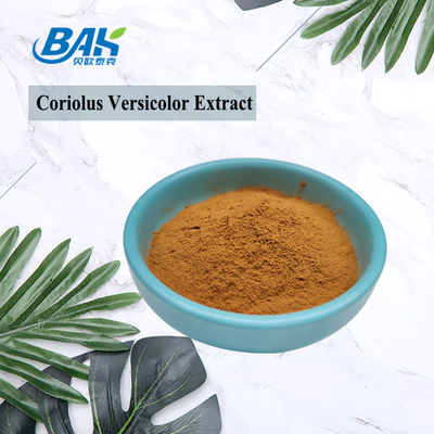10%-50% polvo amarillo de Brown de la seta de Coriolous del suplemento versicolor del extracto