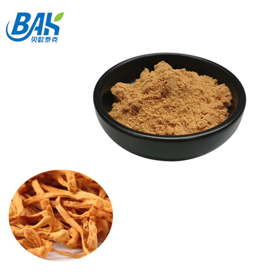 Suplementos de aumento inmunes Cordycepin del extracto de Cordyceps Militaris