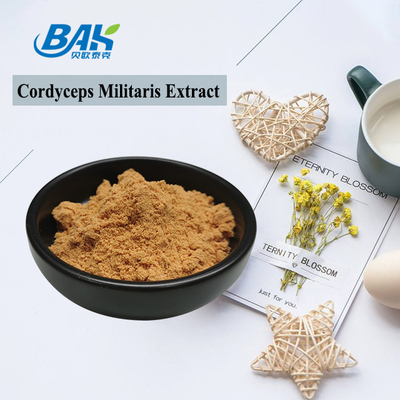 80 a 120 malla Cordyceps Militaris extracto de polvo de la fábrica de suministro