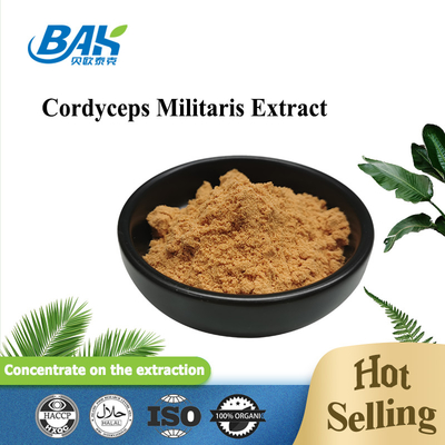 80 a 120 malla Cordyceps Militaris extracto de polvo de la fábrica de suministro