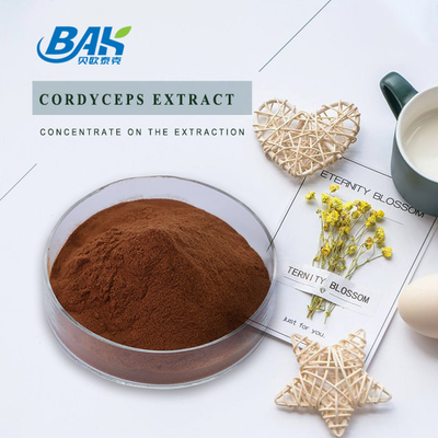 El suplemento el 20% para hombre Cordyceps de la salud de Cordycepin el 5% el 10% extrae el polvo de Brown