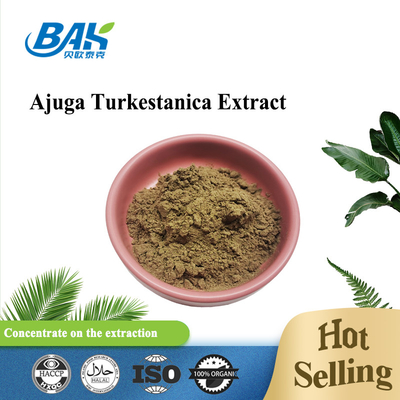 Extracto 2%-20% de Turkestanica del Ajuga