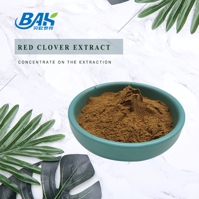 Color para mujer de Brown oscuro del extracto del trébol rojo del suplemento de la salud de los isoflavonas