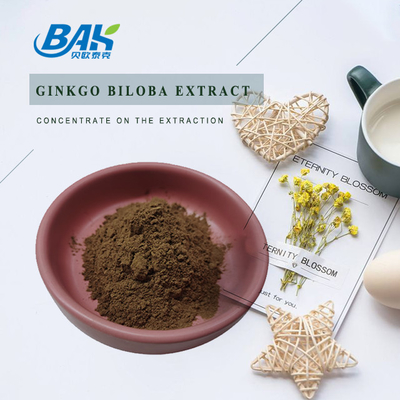CAS 90045-36-6 Extracto de Ginkgo Biloba Glicósidos de flavonas 24% Terpenos Lácteos 6%