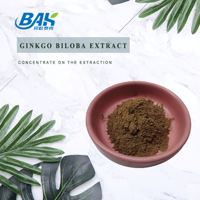 CAS 90045-36-6 Extracto de Ginkgo Biloba Glicósidos de flavonas 24% Terpenos Lácteos 6%