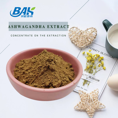 El extracto para hombre de Ashwagandha del suplemento de la salud del extracto de Withanolides pulveriza el 1% 2,5%
